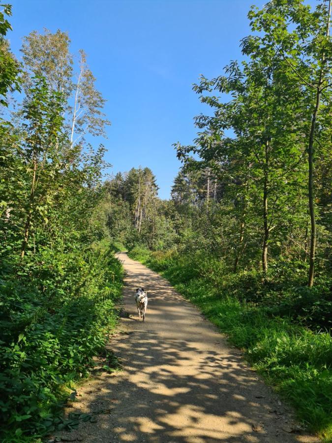 Mini-Chalet - Vakantiepark 'T Urkerbos エクステリア 写真
